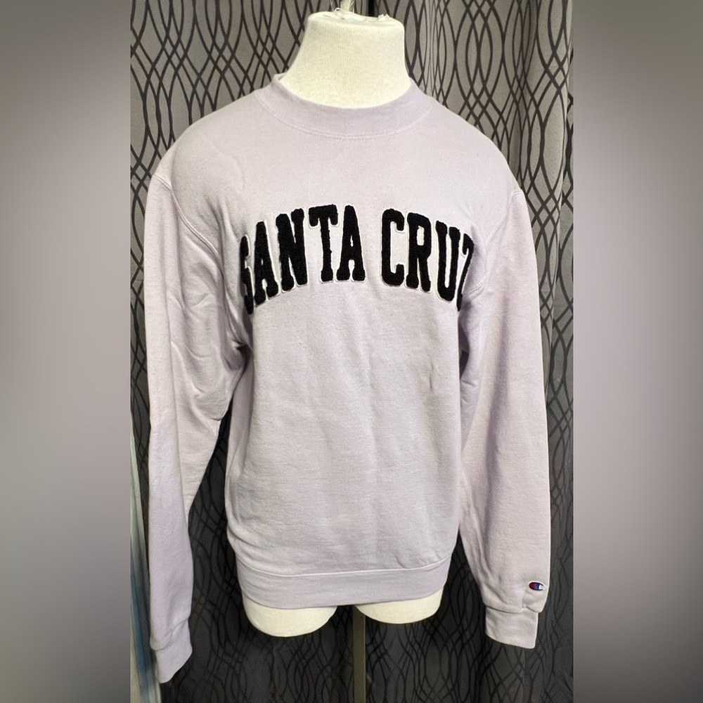 Champion Santa Cruz Crewneck in purple 
Size: Small [I-27]